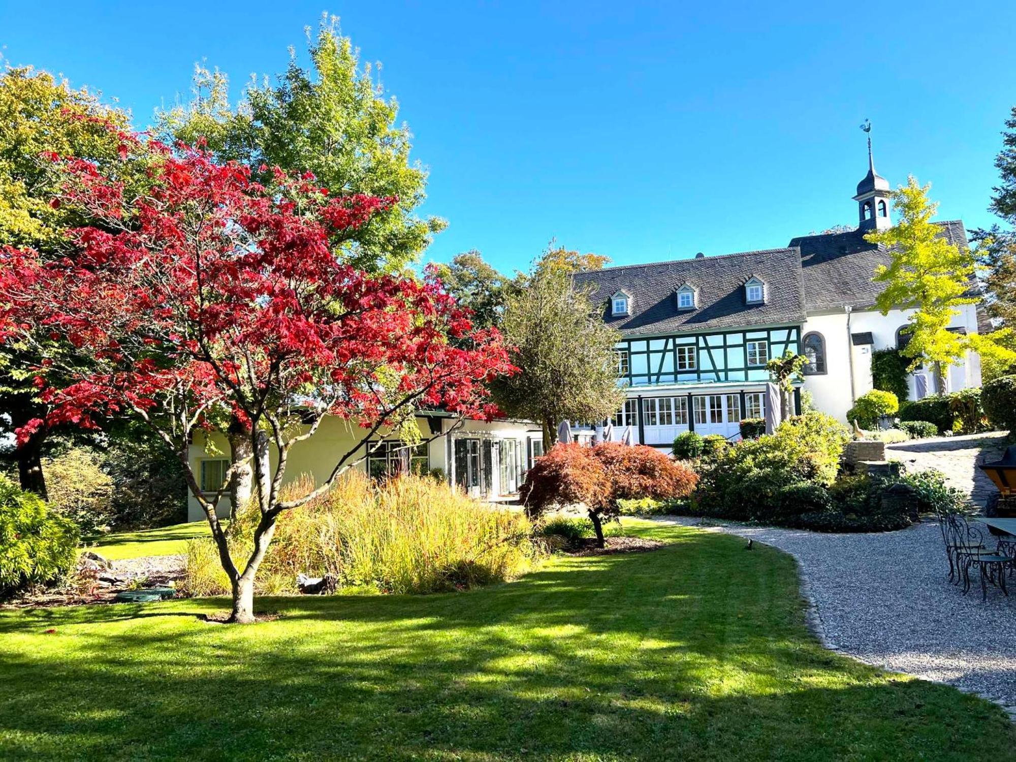 Altes Forsthaus Boppard Apartment Стая снимка